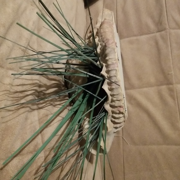 2 SEASHORE Beachy look wall vases - Picture 5 of 7